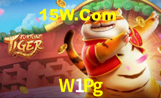 Premium Interface W1Pg